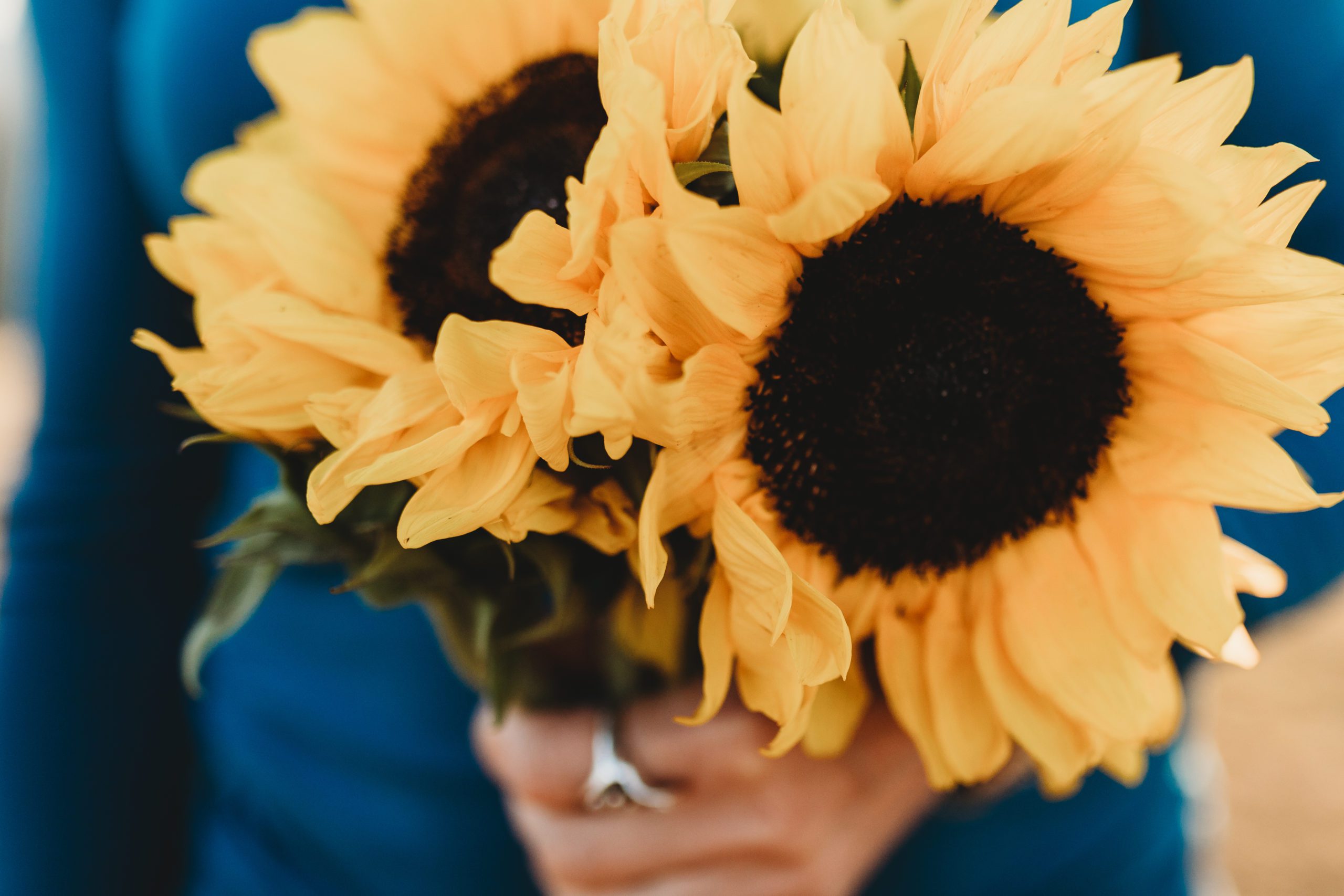 small sunflower bouquet