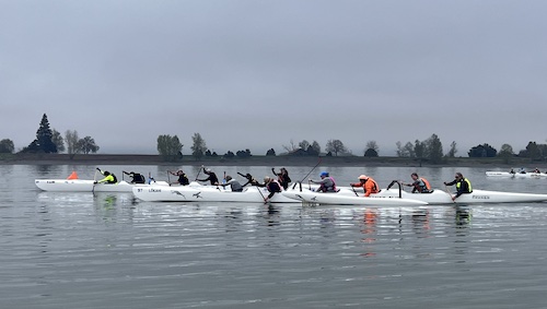 people rowing canoes